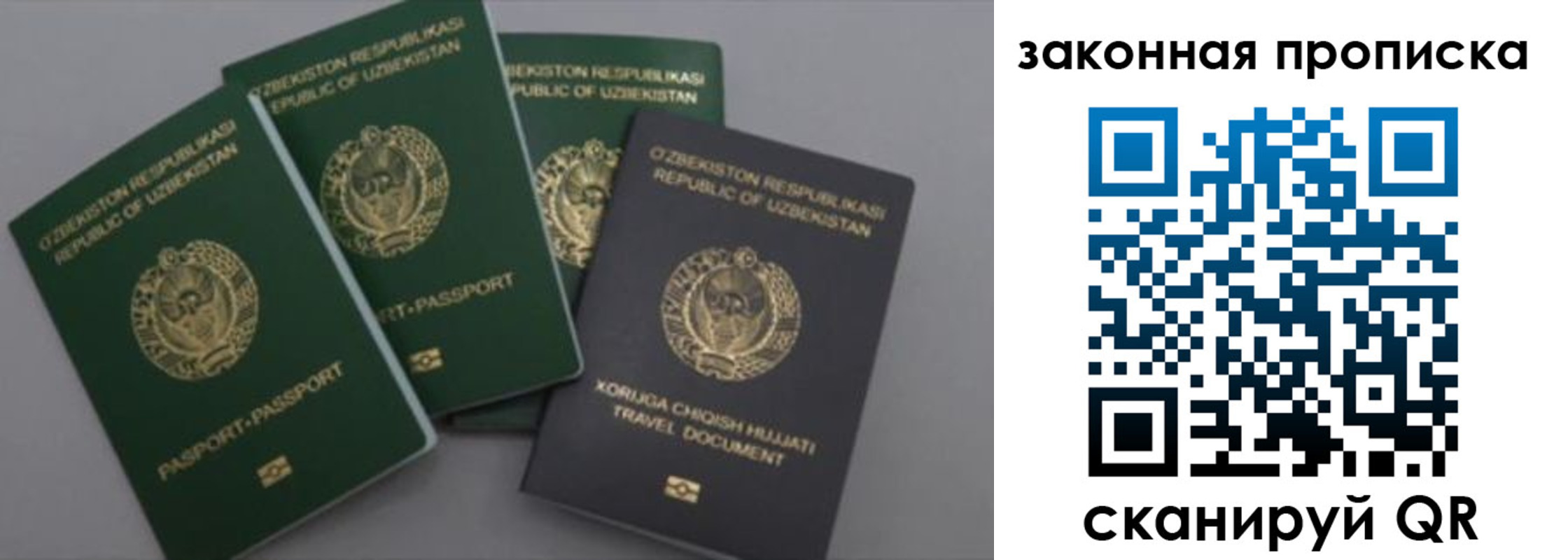 прописка законно в Моршанске
